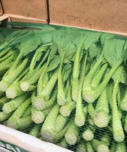 Hollandse choy sum