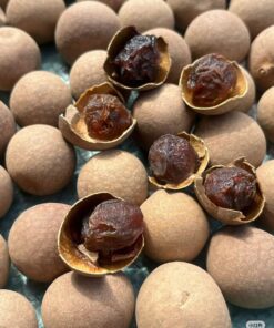 Gedroogde longan