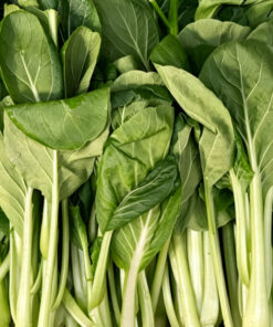 荷兰菜心 约450克