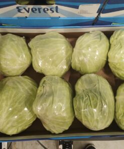 扁球菜 1个