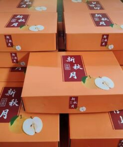 新秋月 新高梨礼盒装(5kg/箱,约6–14个)