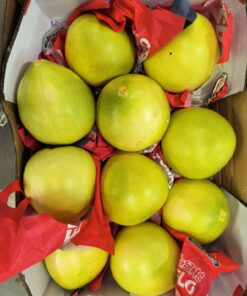 Chinese Red Pomelo / 红柚