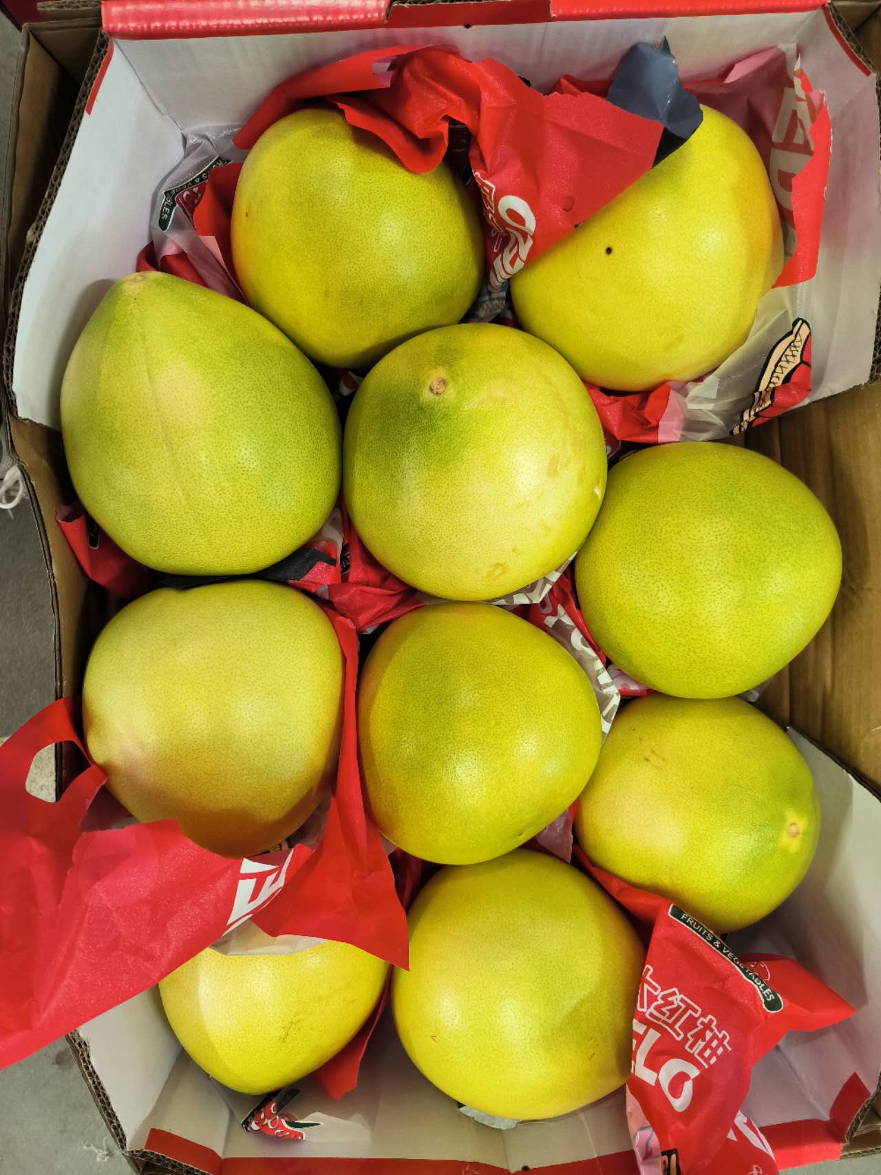 红柚 Chinese Red Pomelo / 红柚